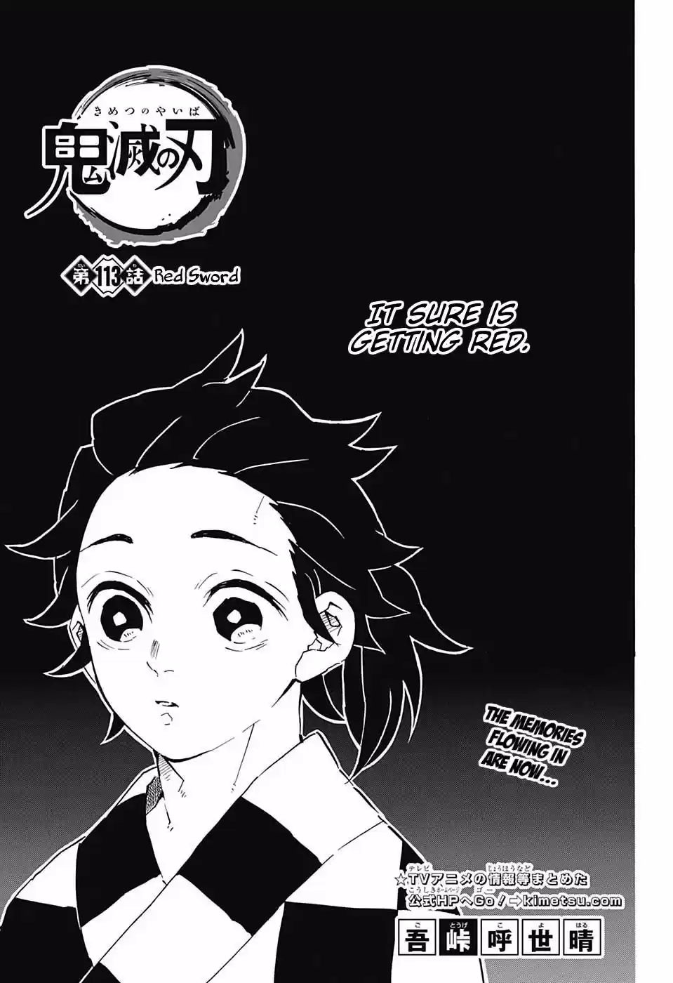 Demon Slayer: Kimetsu no Yaiba Demon Slayer Chapter 113