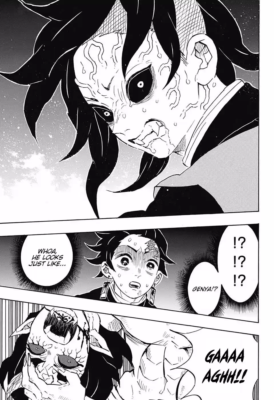 Demon Slayer: Kimetsu no Yaiba Demon Slayer Chapter 113