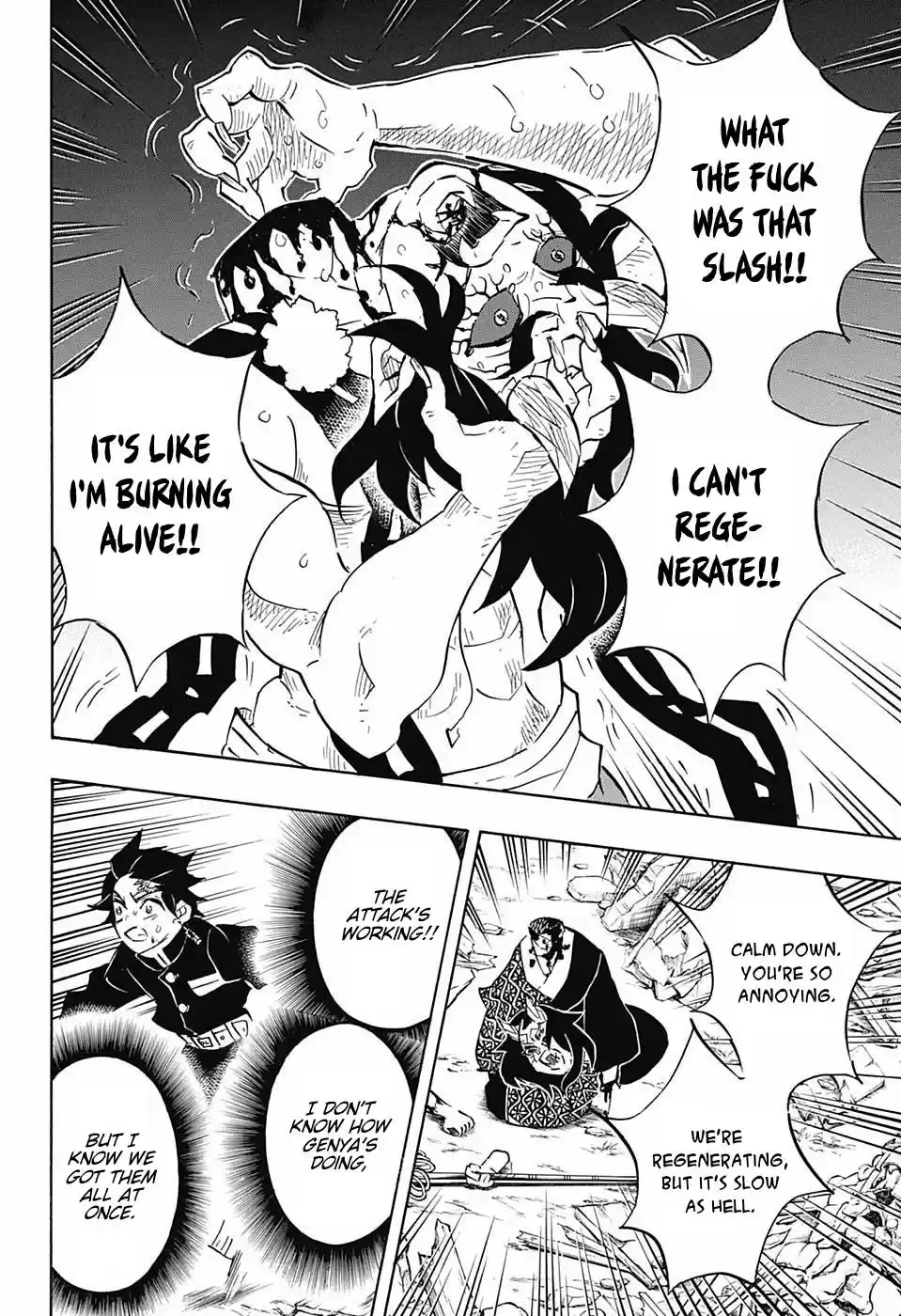 Demon Slayer: Kimetsu no Yaiba Demon Slayer Chapter 113