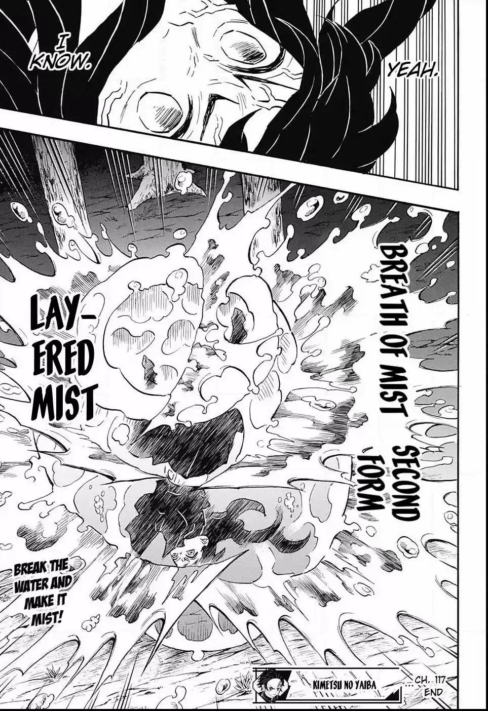 Demon Slayer: Kimetsu no Yaiba Demon Slayer Chapter 117