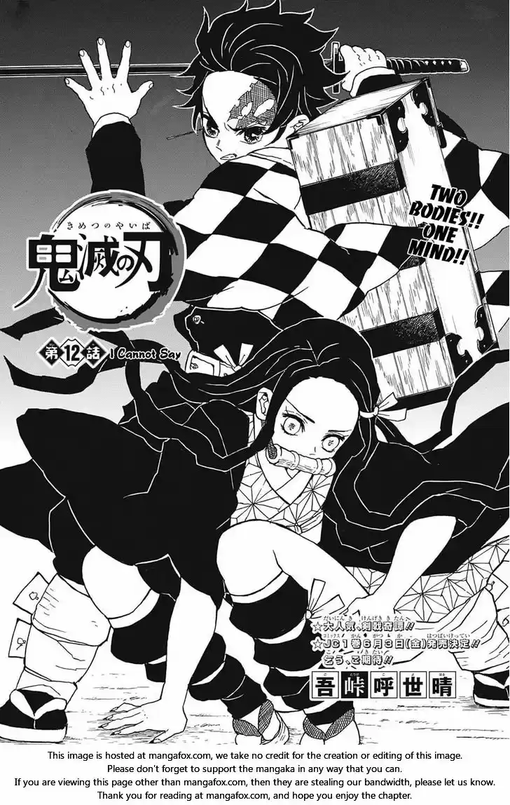 Demon Slayer: Kimetsu no Yaiba Demon Slayer Chapter 12