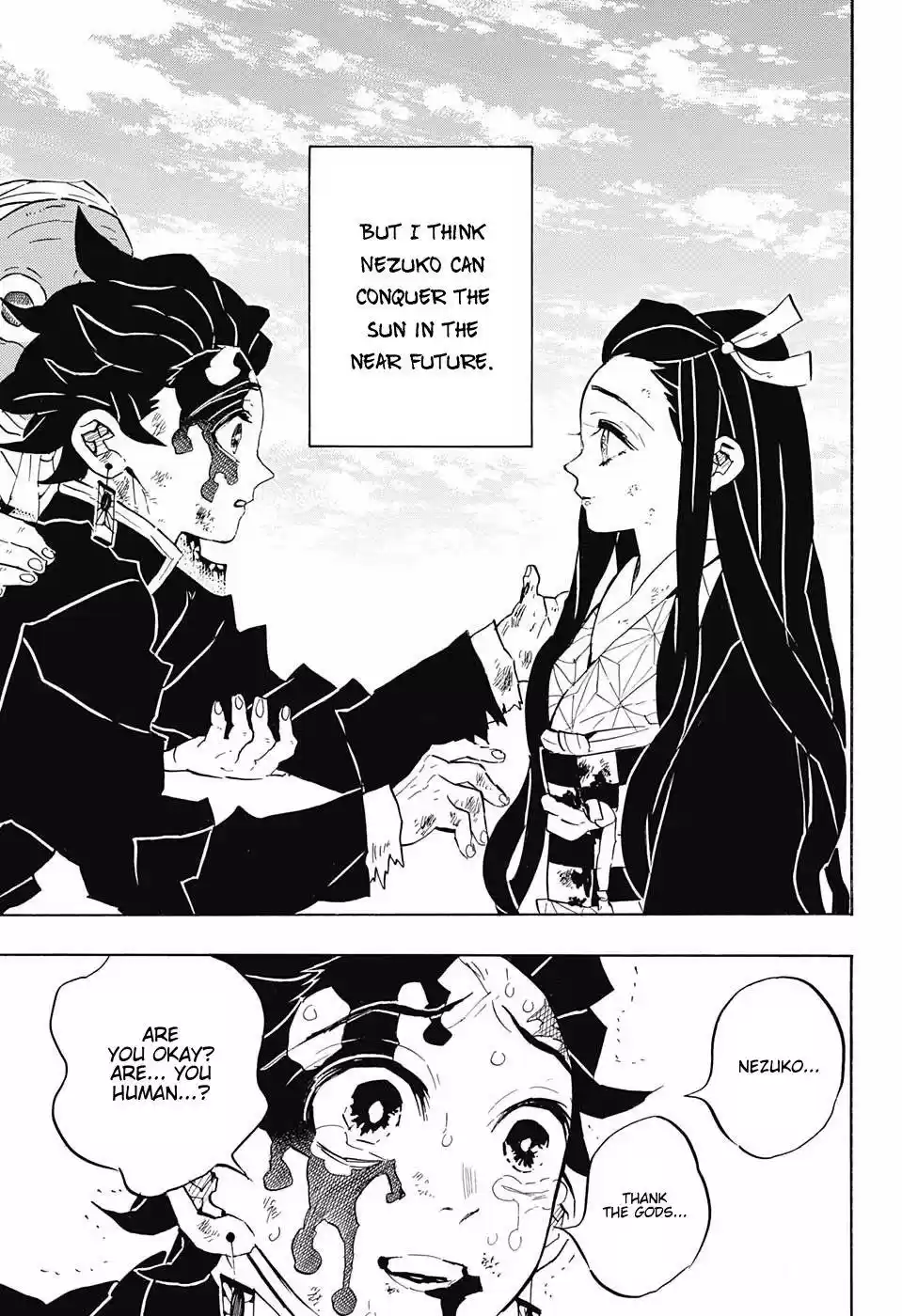 Demon Slayer: Kimetsu no Yaiba Demon Slayer Chapter 127