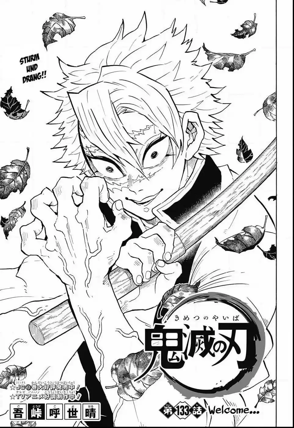 Demon Slayer: Kimetsu no Yaiba Demon Slayer Chapter 133