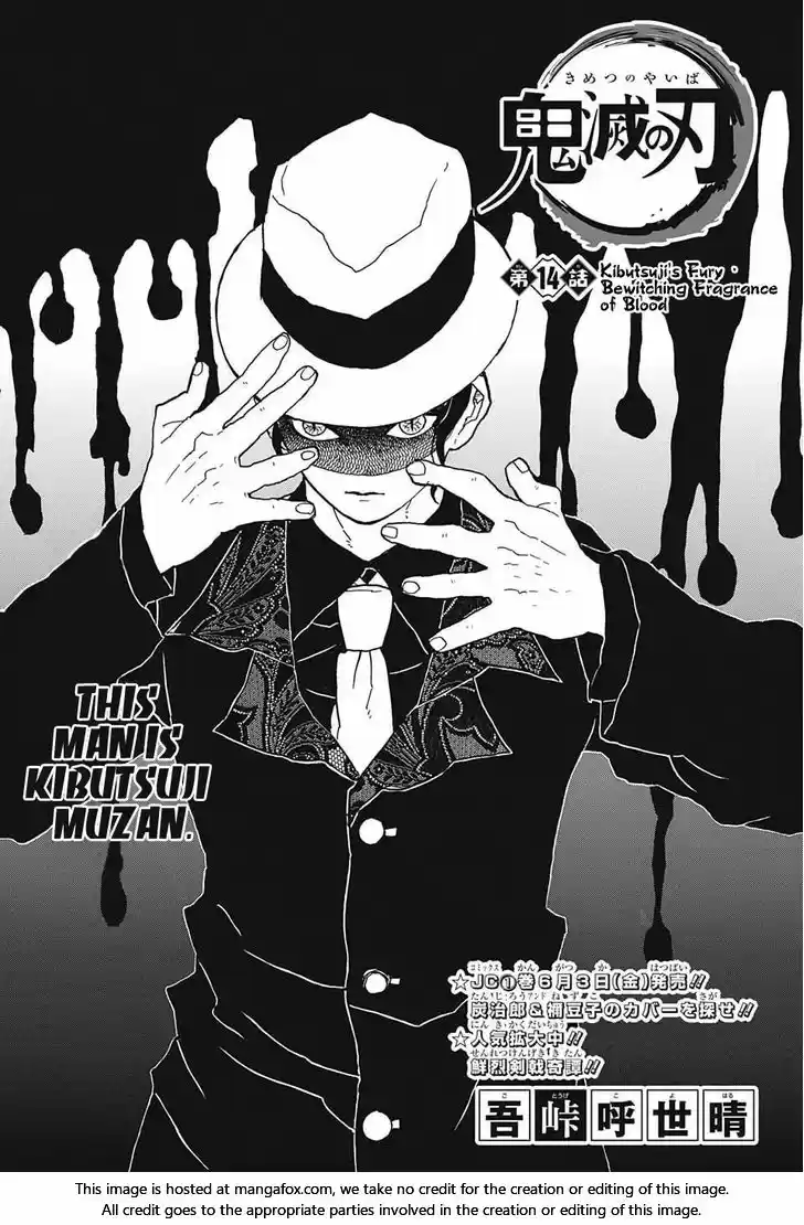 Demon Slayer: Kimetsu no Yaiba Demon Slayer Chapter 14