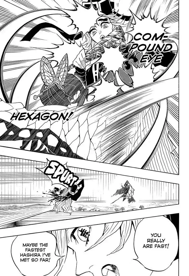 Demon Slayer: Kimetsu no Yaiba Demon Slayer Chapter 142
