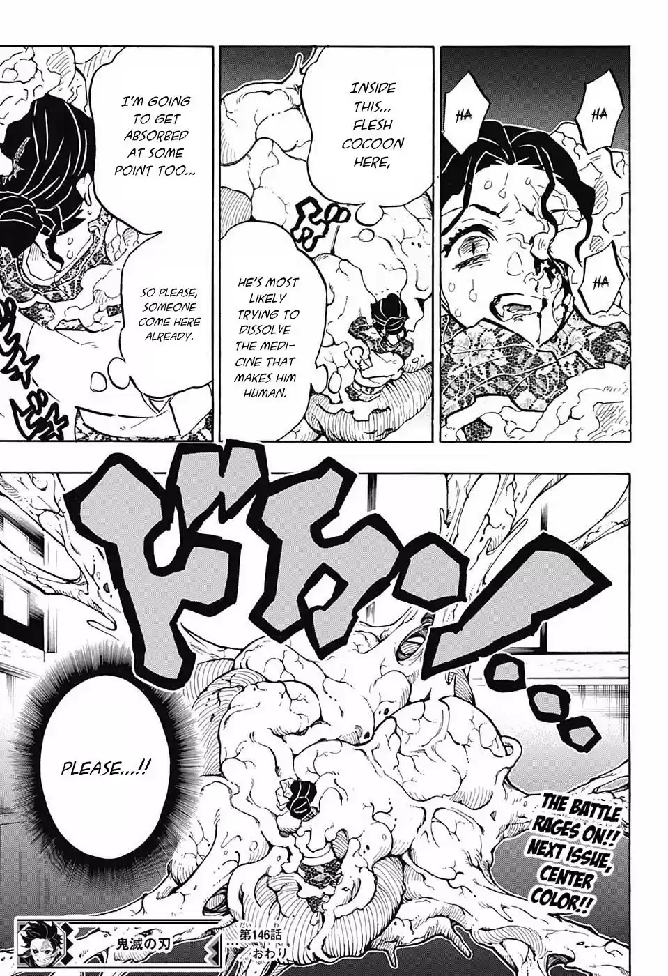 Demon Slayer: Kimetsu no Yaiba Demon Slayer Chapter 146