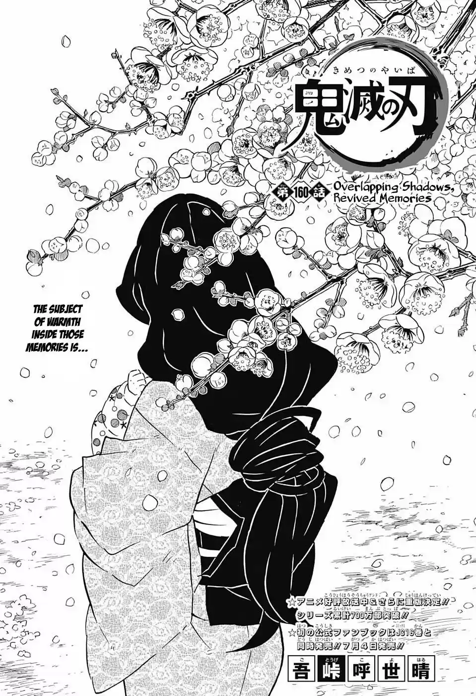 Demon Slayer: Kimetsu no Yaiba Demon Slayer Chapter 160