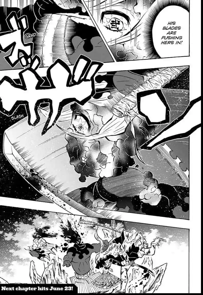 Demon Slayer: Kimetsu no Yaiba Demon Slayer Chapter 162