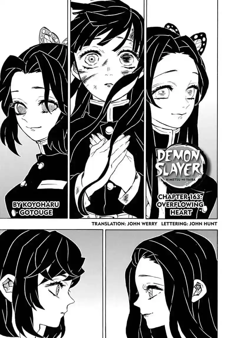 Demon Slayer: Kimetsu no Yaiba Demon Slayer Chapter 163