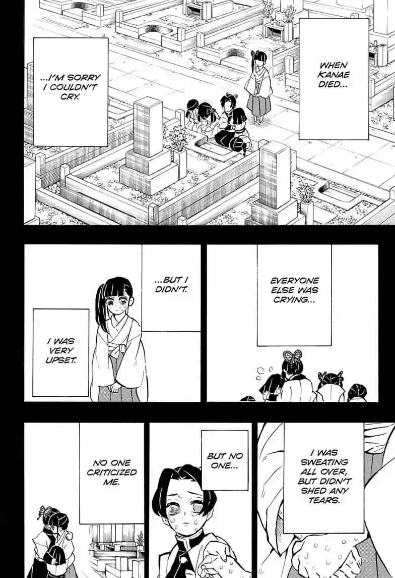Demon Slayer: Kimetsu no Yaiba Demon Slayer Chapter 163
