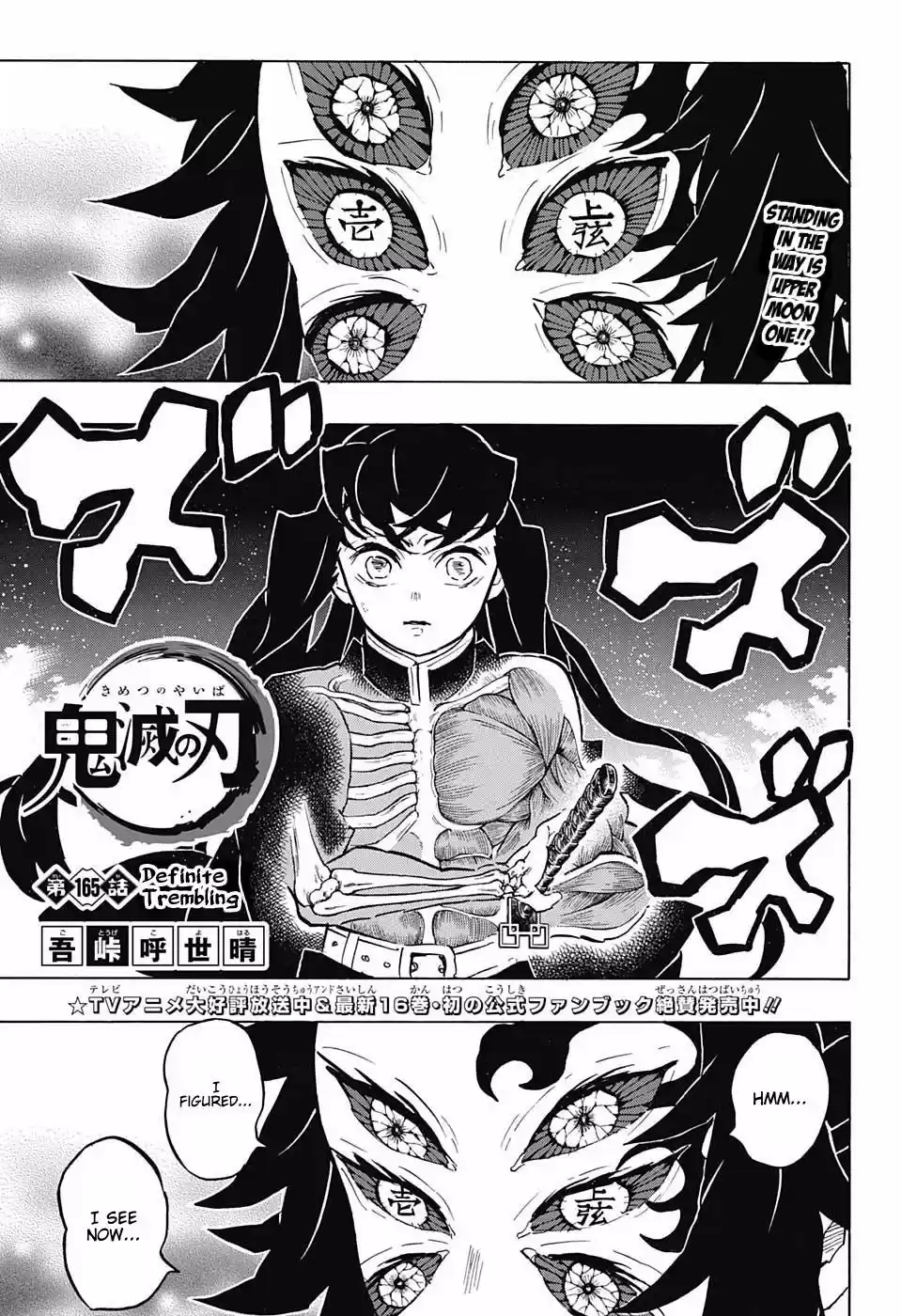Demon Slayer: Kimetsu no Yaiba Demon Slayer Chapter 165