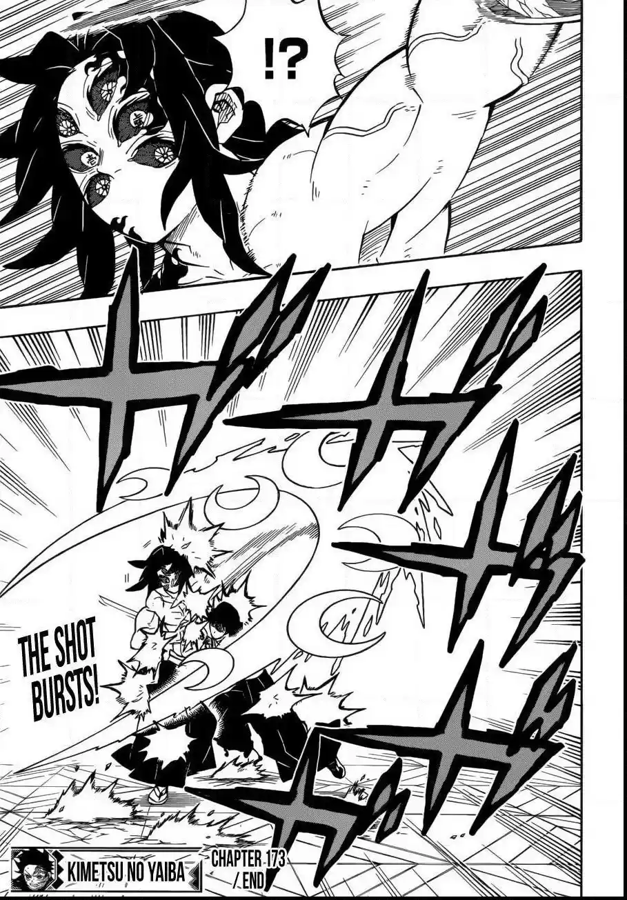 Demon Slayer: Kimetsu no Yaiba Demon Slayer Chapter 173