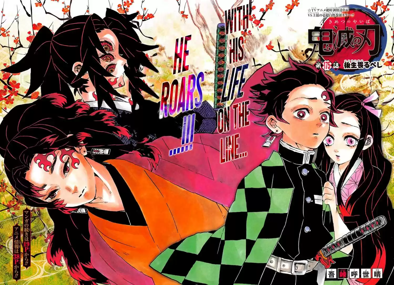 Demon Slayer: Kimetsu no Yaiba Demon Slayer Chapter 175