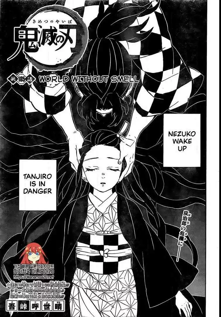 Demon Slayer: Kimetsu no Yaiba Demon Slayer Chapter 185