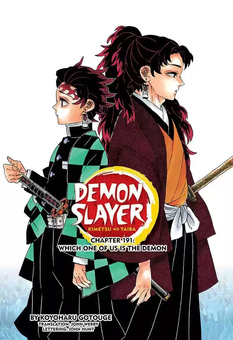 Demon Slayer: Kimetsu no Yaiba Demon Slayer Chapter 191