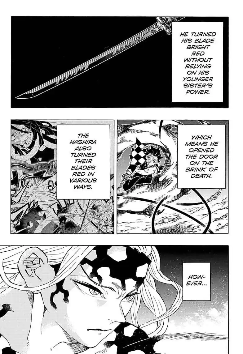 Demon Slayer: Kimetsu no Yaiba Demon Slayer Chapter 193