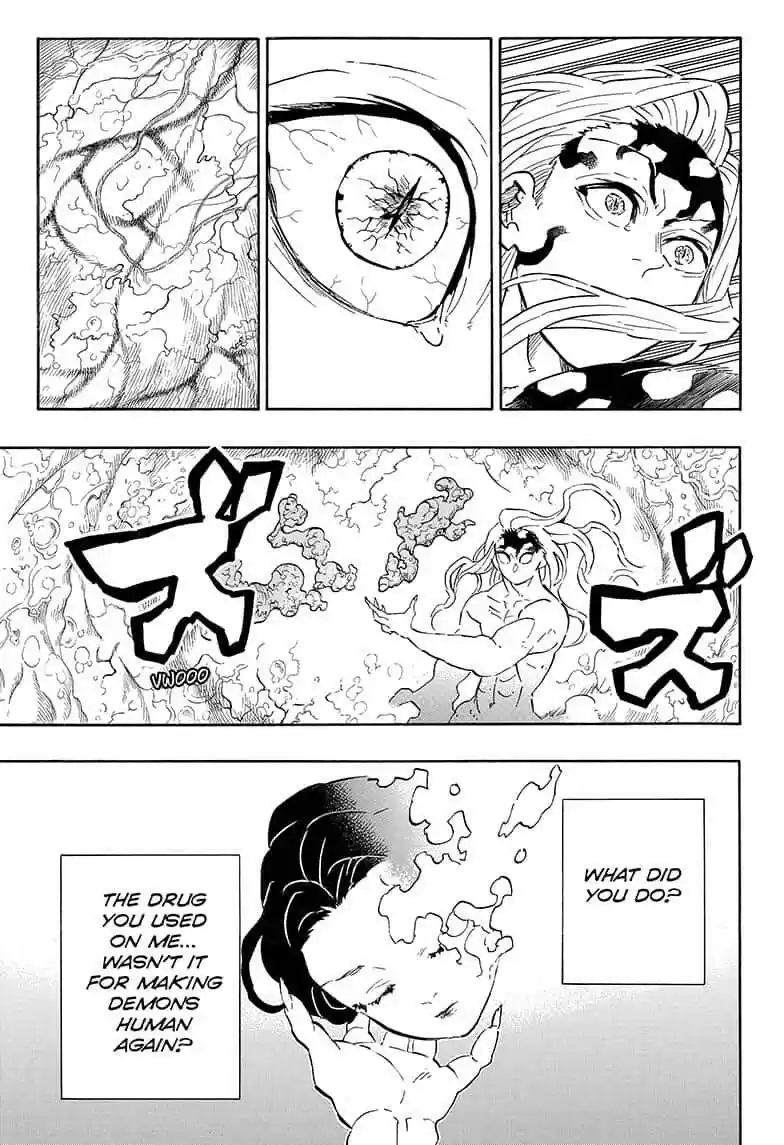 Demon Slayer: Kimetsu no Yaiba Demon Slayer Chapter 193
