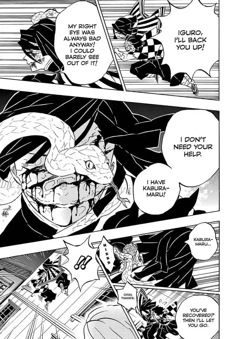 Demon Slayer: Kimetsu no Yaiba Demon Slayer Chapter 194