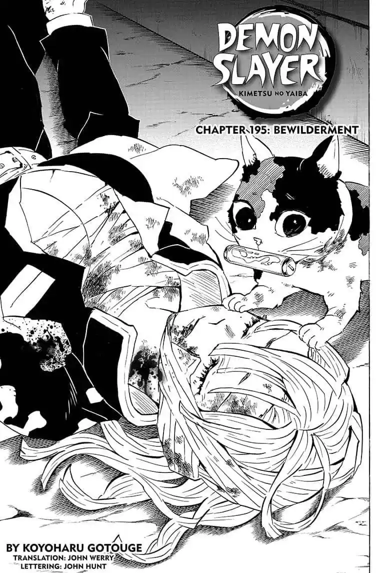 Demon Slayer: Kimetsu no Yaiba Demon Slayer Chapter 195