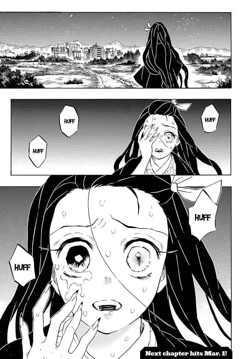 Demon Slayer: Kimetsu no Yaiba Demon Slayer Chapter 195