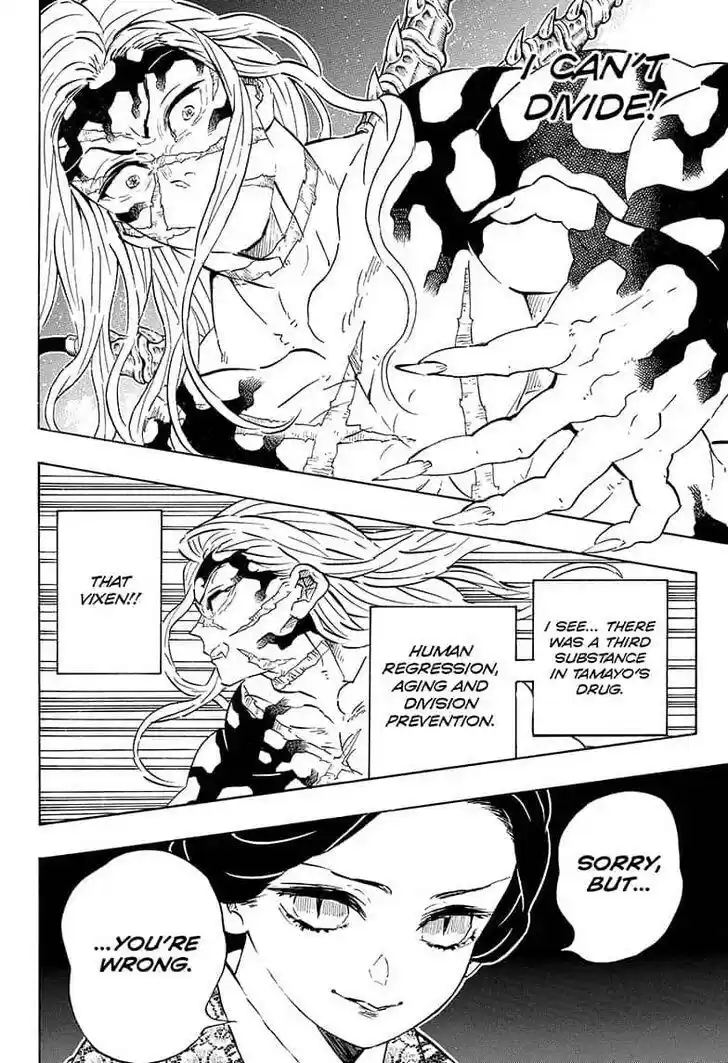 Demon Slayer: Kimetsu no Yaiba Demon Slayer Chapter 196