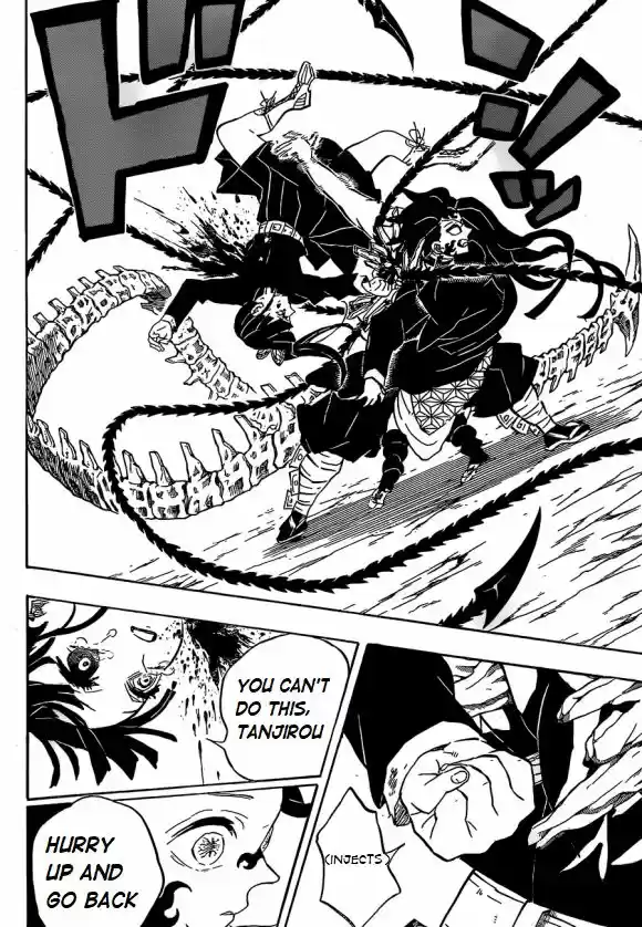 Demon Slayer: Kimetsu no Yaiba Demon Slayer Chapter 202