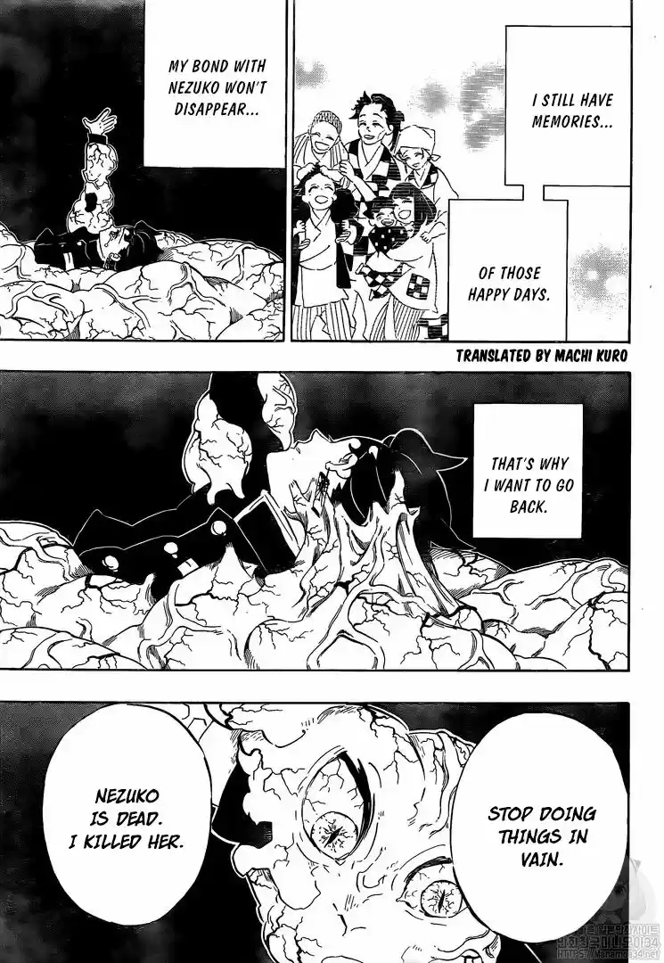 Demon Slayer: Kimetsu no Yaiba Demon Slayer Chapter 203