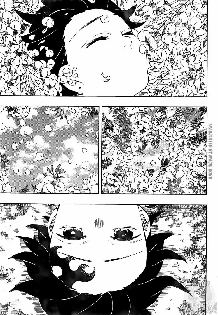 Demon Slayer: Kimetsu no Yaiba Demon Slayer Chapter 203