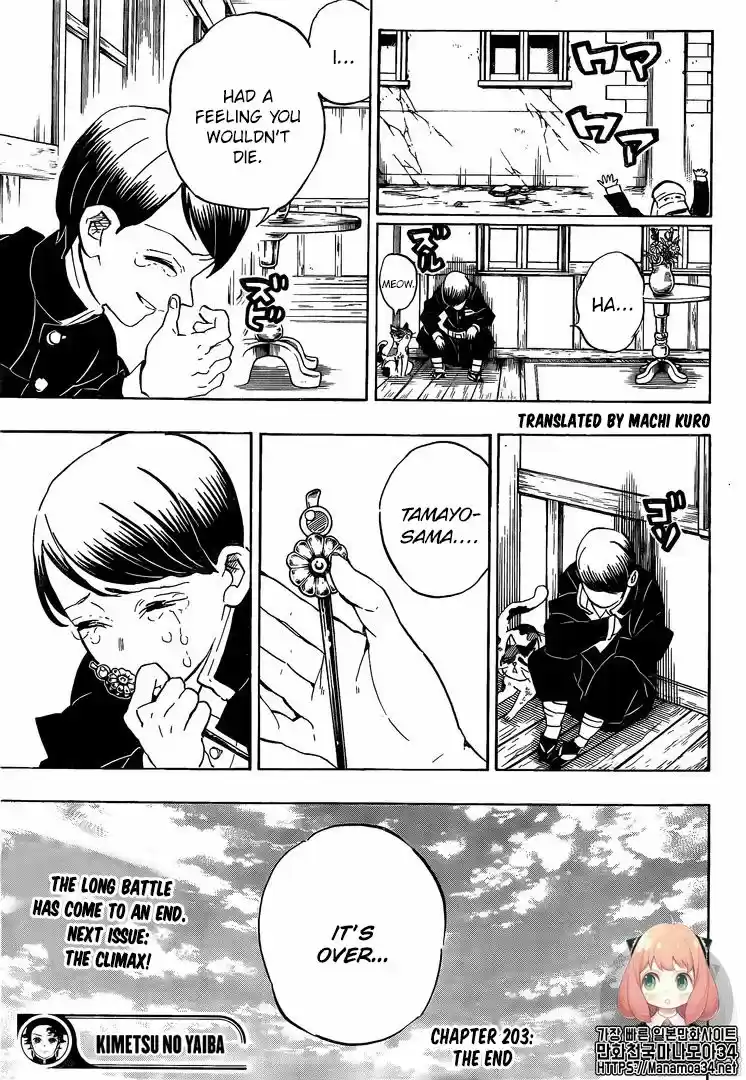 Demon Slayer: Kimetsu no Yaiba Demon Slayer Chapter 203