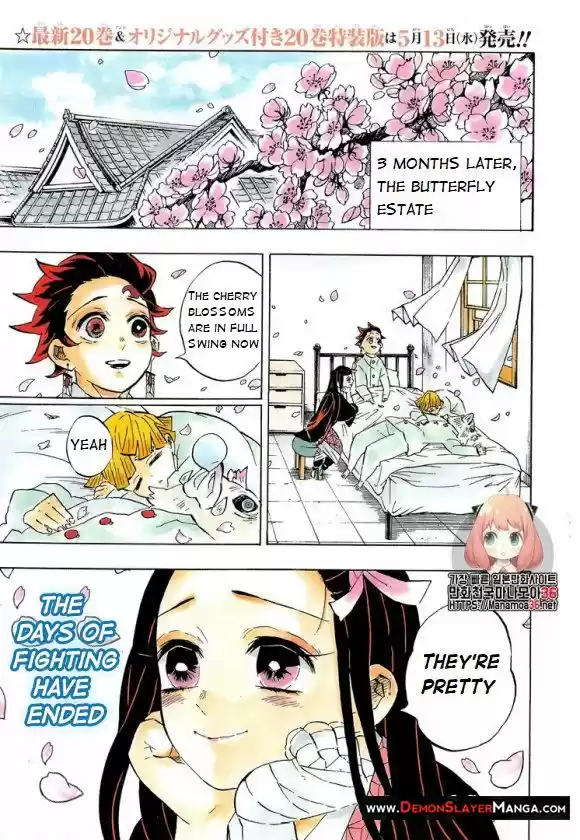Demon Slayer: Kimetsu no Yaiba Demon Slayer Chapter 204
