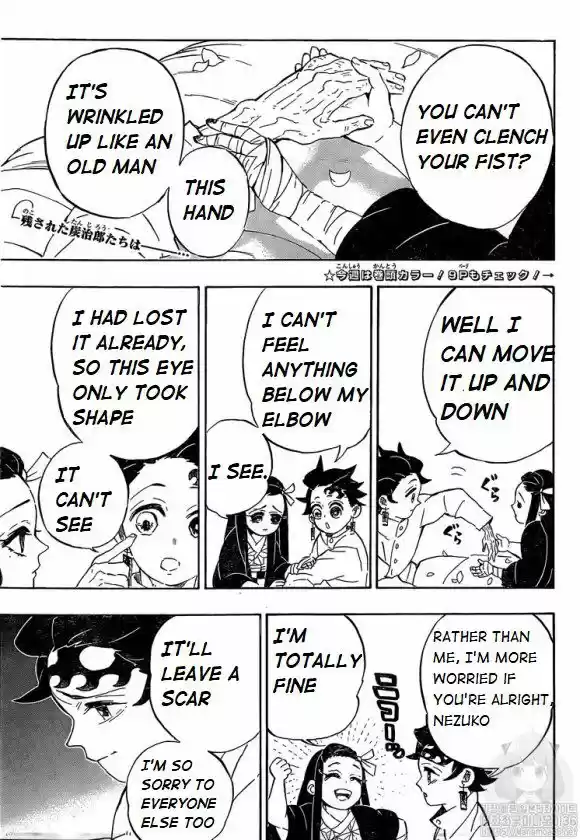 Demon Slayer: Kimetsu no Yaiba Demon Slayer Chapter 204