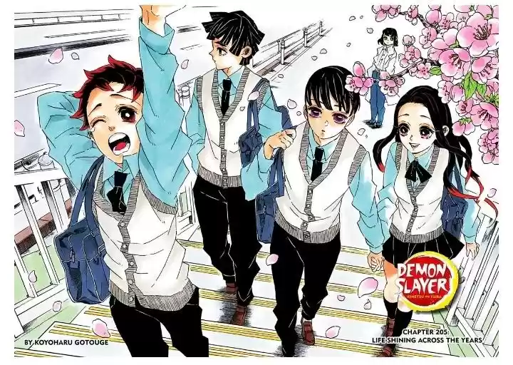 Demon Slayer: Kimetsu no Yaiba Demon Slayer Chapter 205
