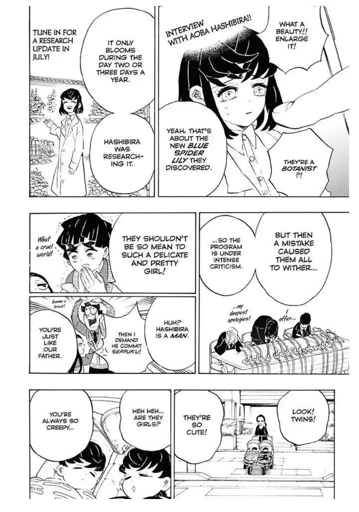 Demon Slayer: Kimetsu no Yaiba Demon Slayer Chapter 205