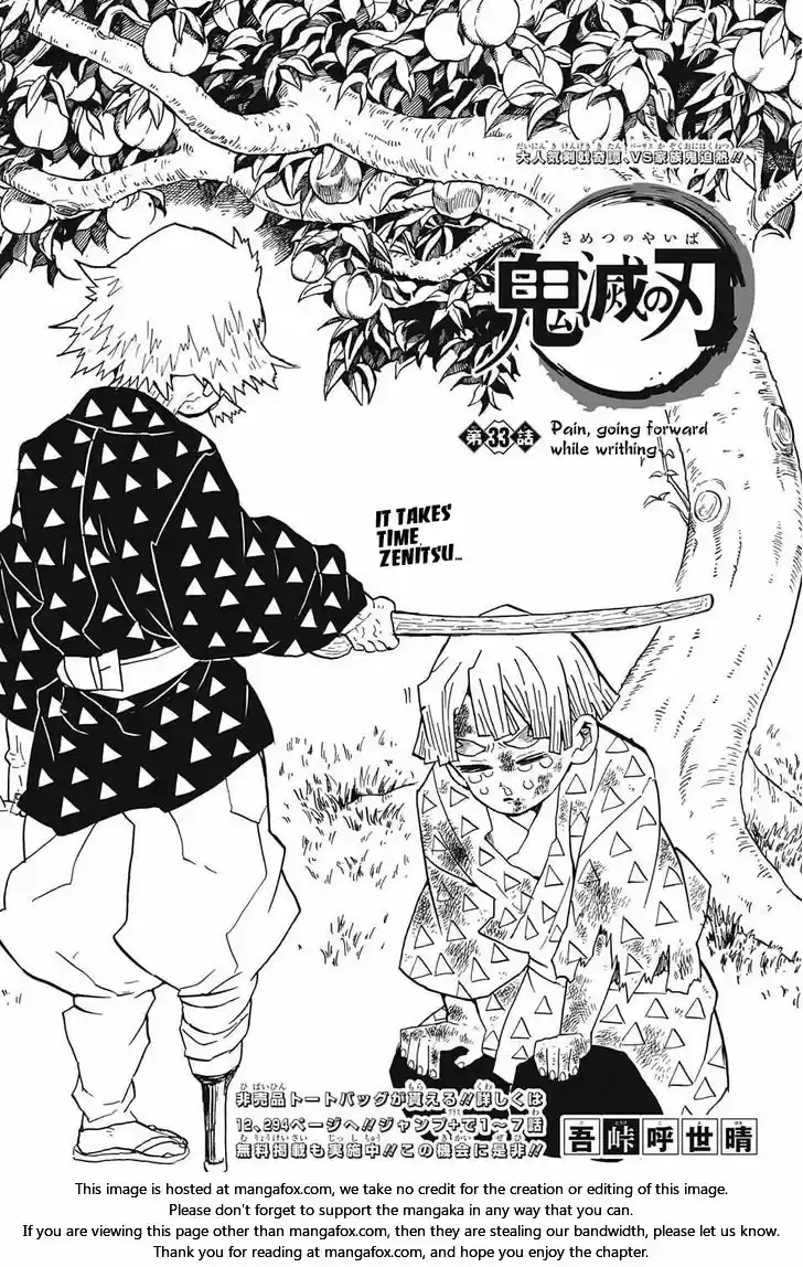 Demon Slayer: Kimetsu no Yaiba Demon Slayer Chapter 33