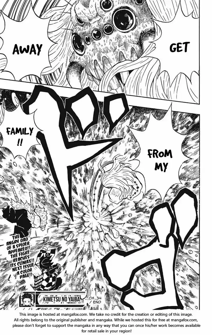 Demon Slayer: Kimetsu no Yaiba Demon Slayer Chapter 34