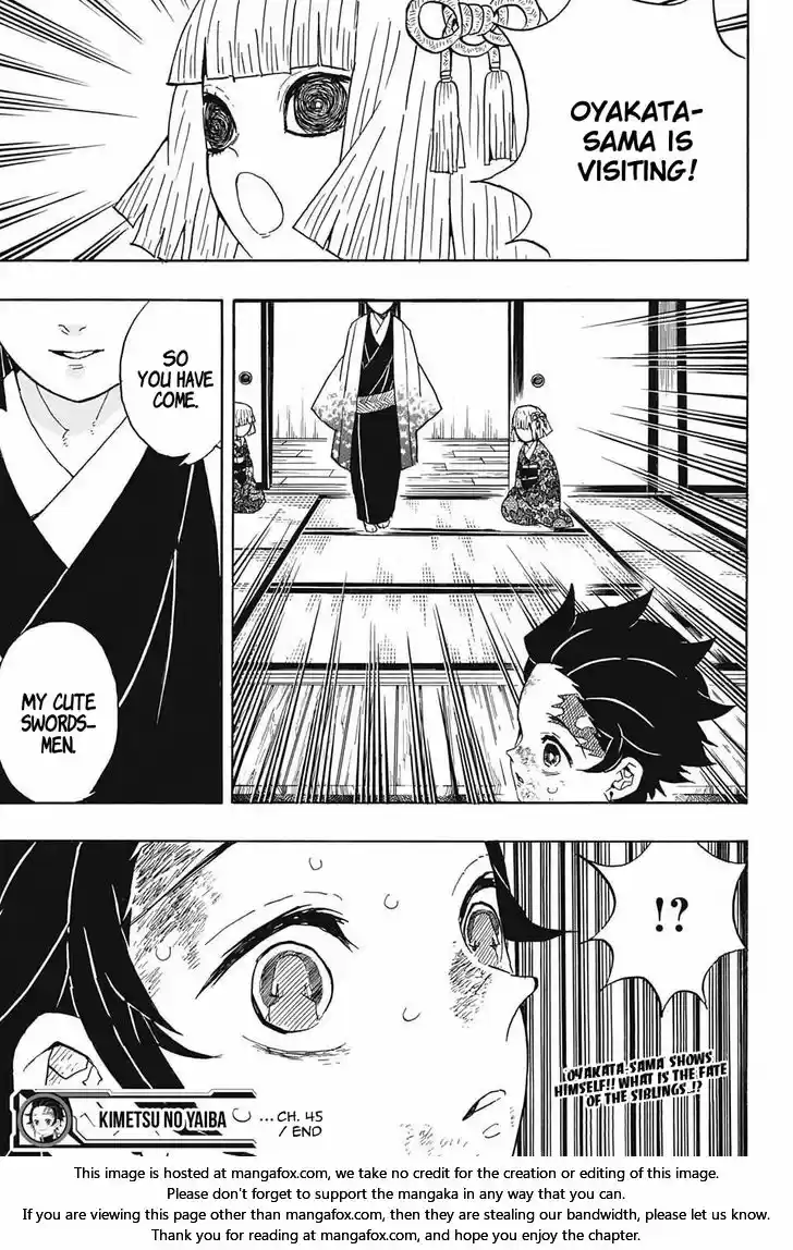 Demon Slayer: Kimetsu no Yaiba Demon Slayer Chapter 45