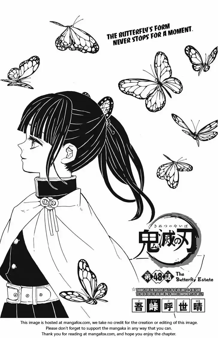 Demon Slayer: Kimetsu no Yaiba Demon Slayer Chapter 48