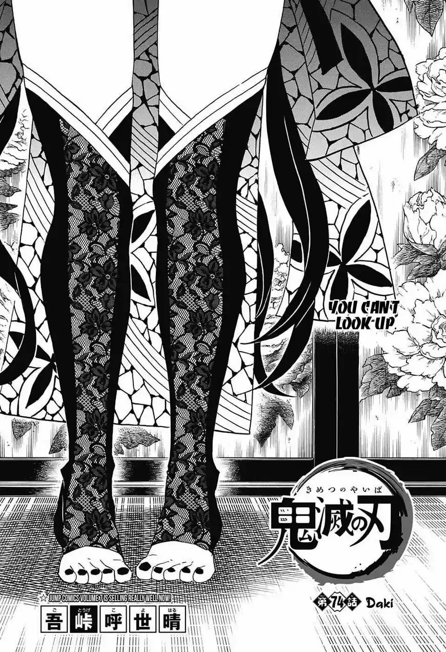 Demon Slayer: Kimetsu no Yaiba Demon Slayer Chapter 74