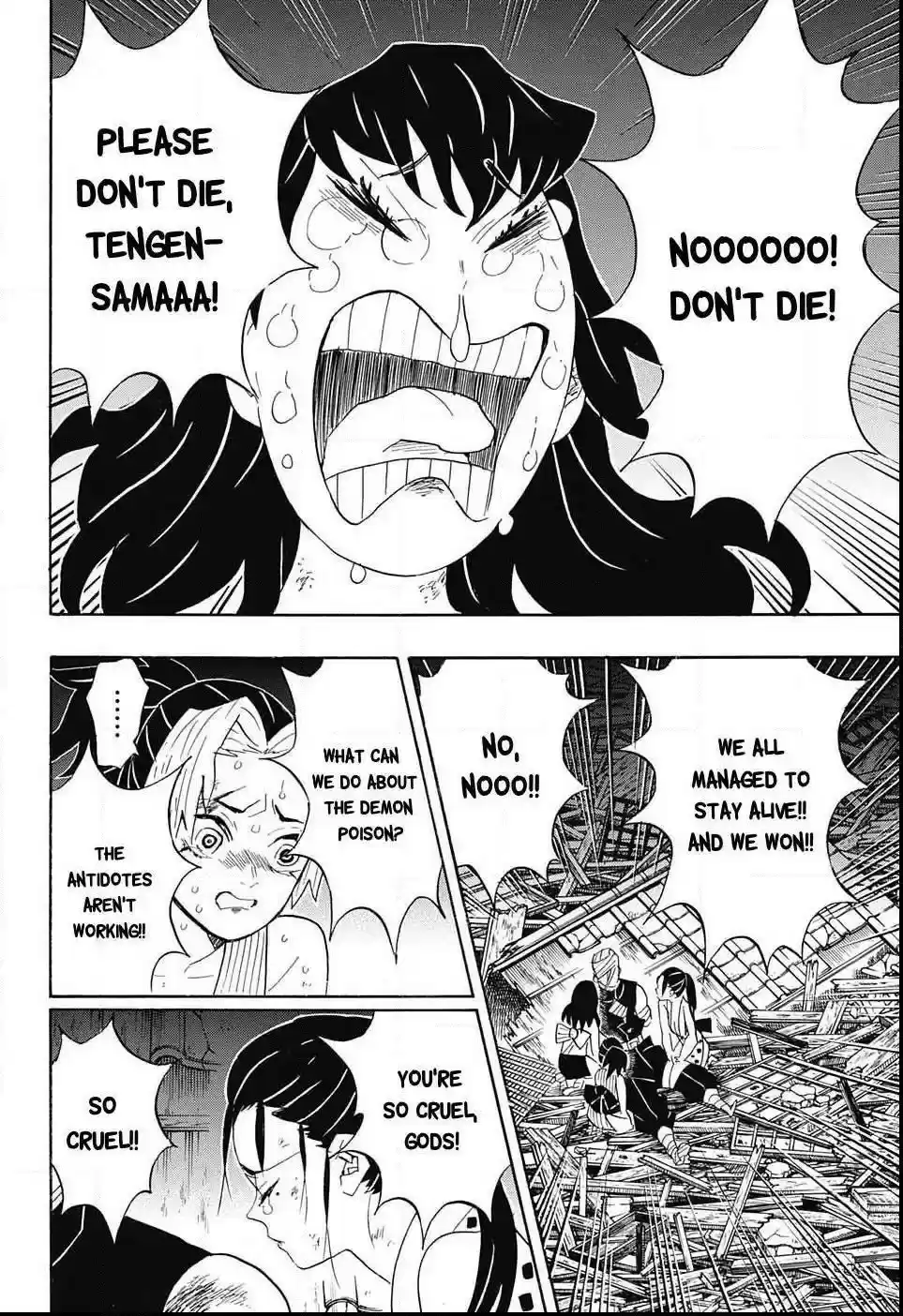 Demon Slayer: Kimetsu no Yaiba Demon Slayer Chapter 95