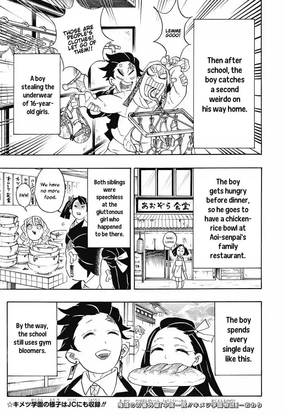 Demon Slayer: Kimetsu no Yaiba Demon Slayer Chapter 95.5