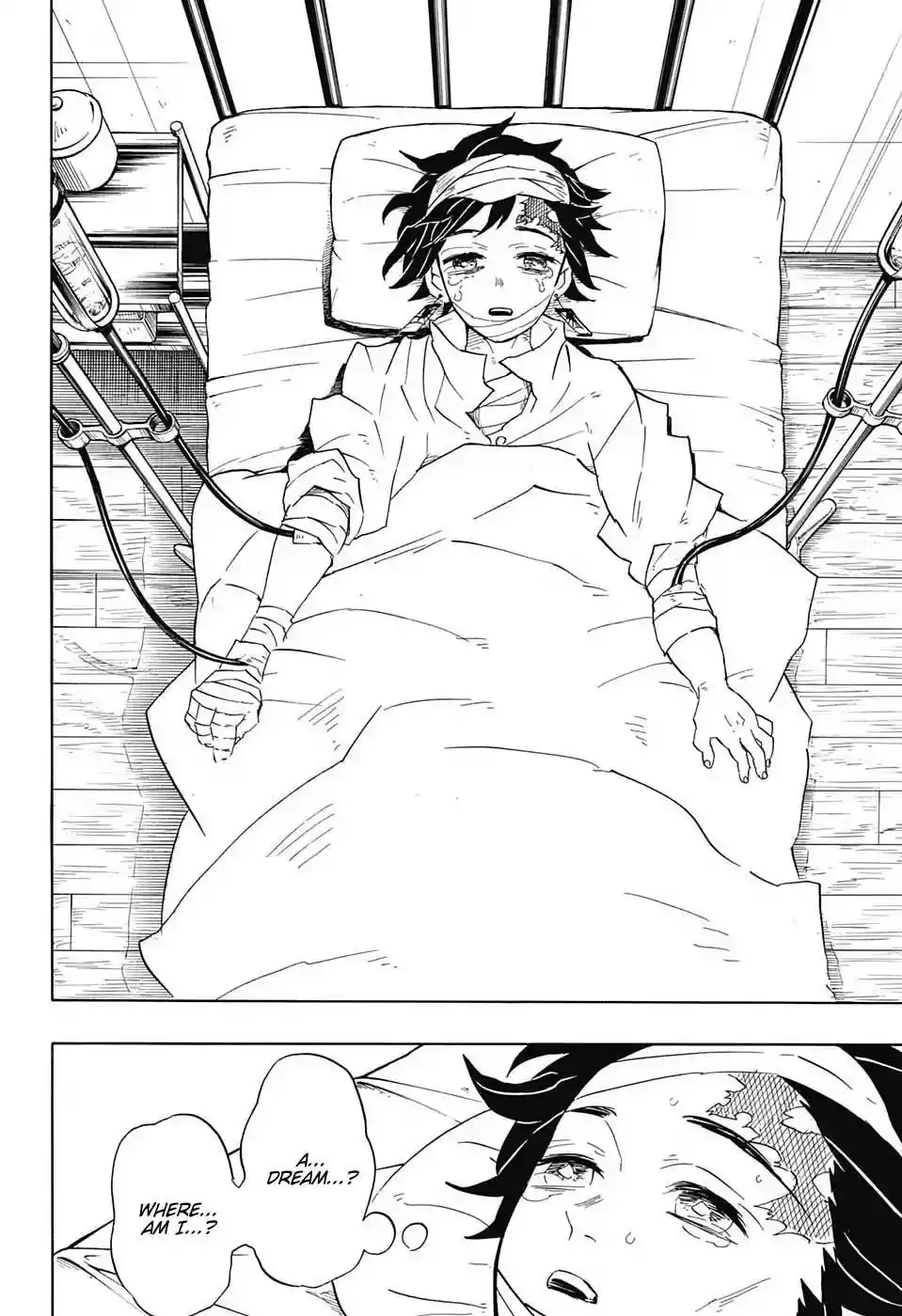 Demon Slayer: Kimetsu no Yaiba Demon Slayer Chapter 99