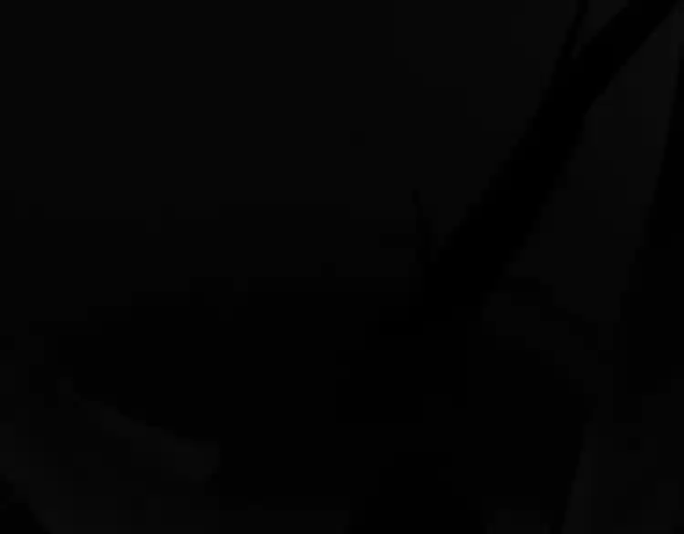 Demonic Emperor ch.4