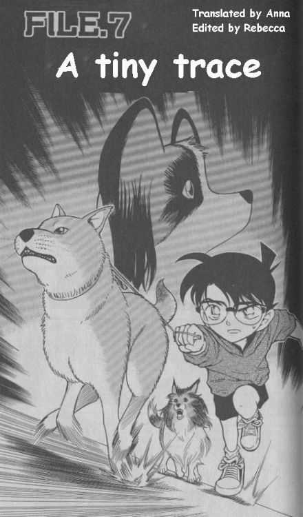 Detective Conan 291