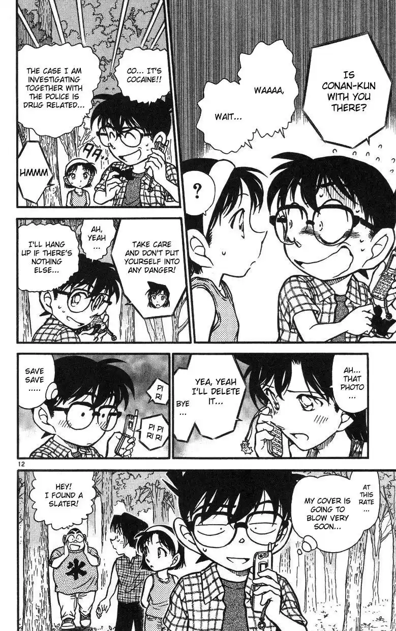 Detective Conan Ch.491