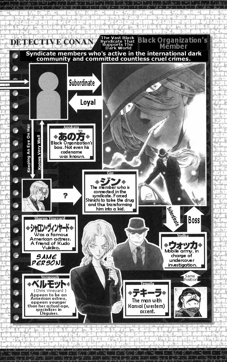 Detective Conan Ch.491