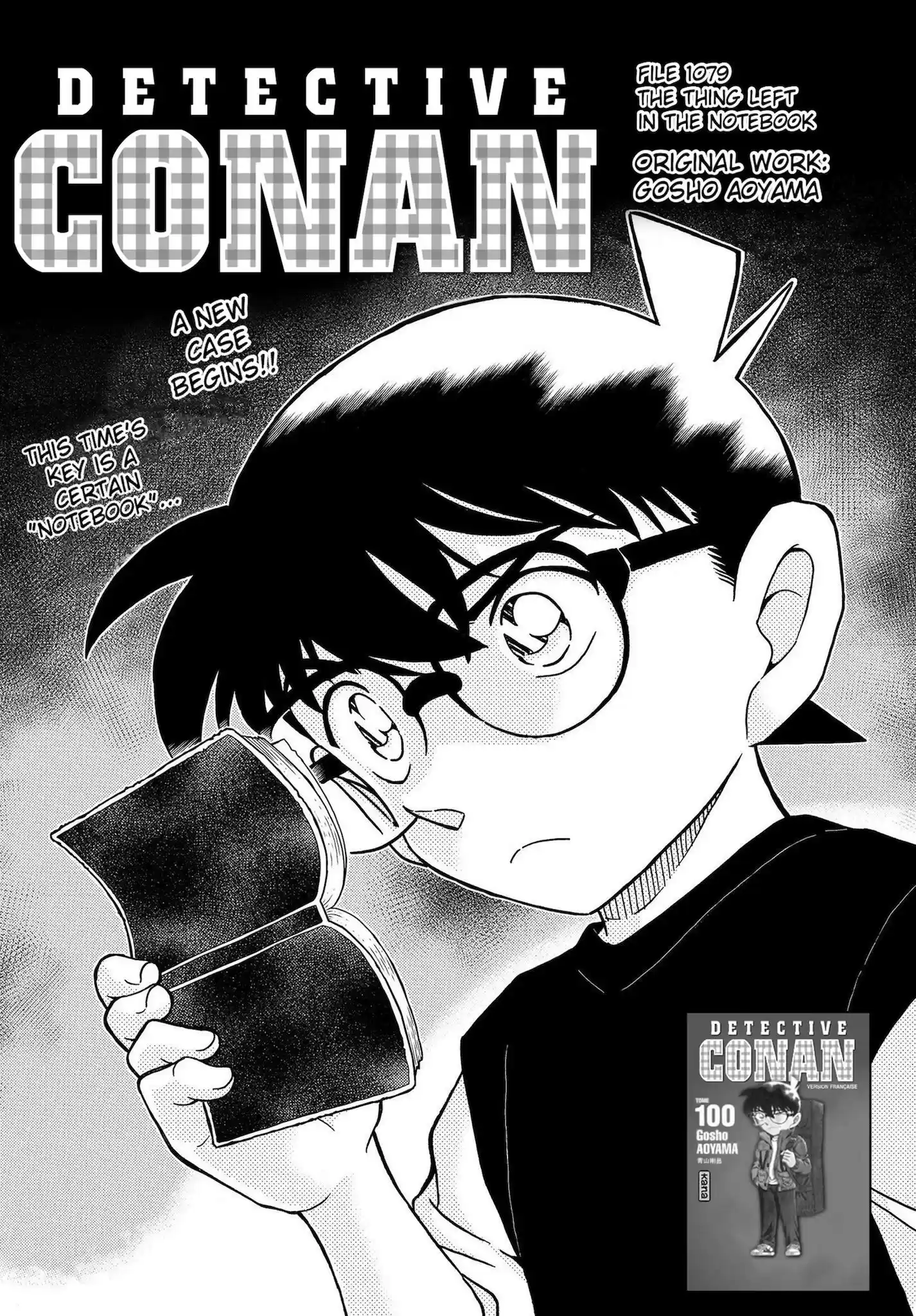 Detective Conan Chapter 1079