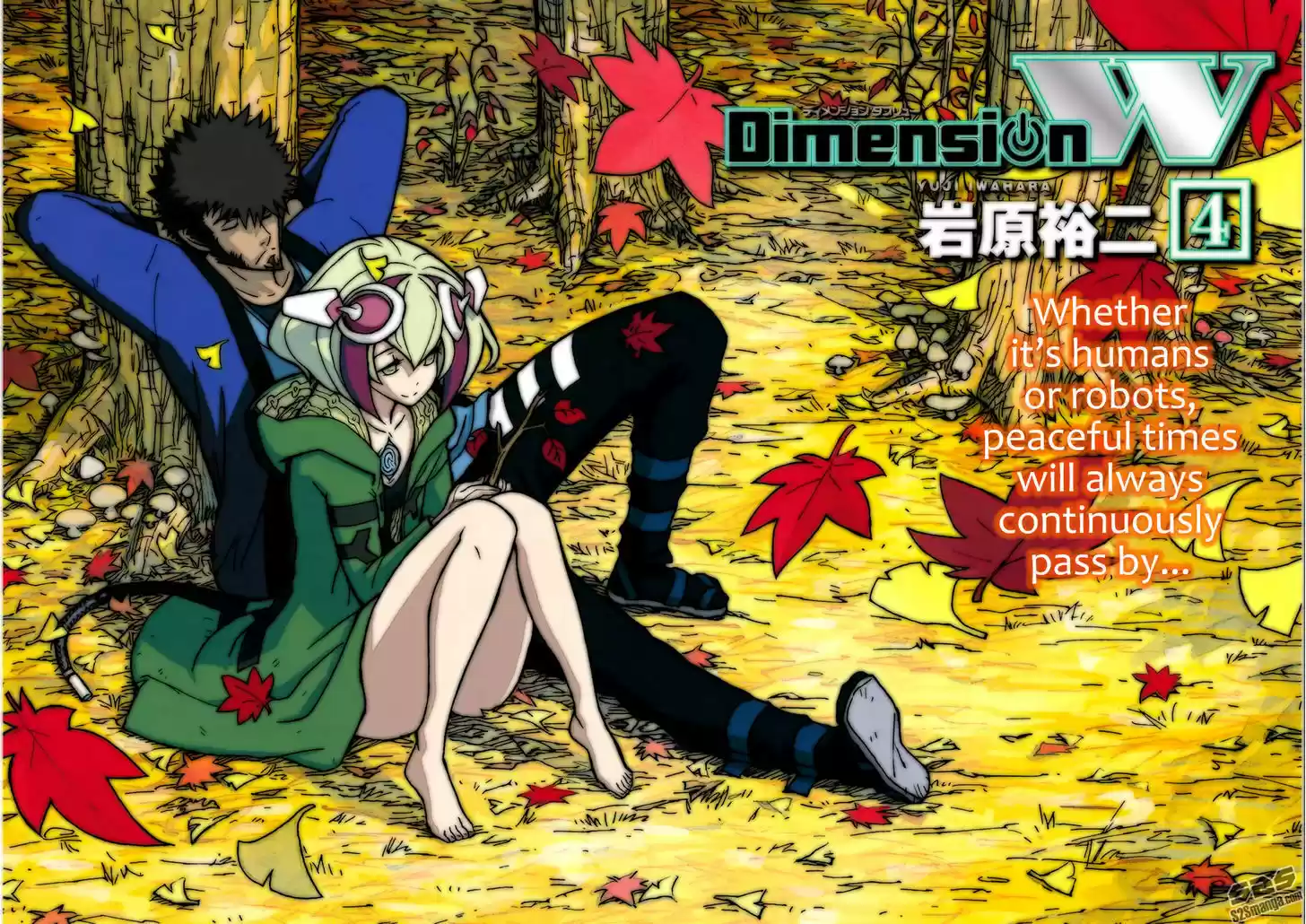 Dimension W 24