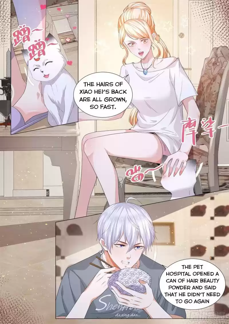 Divine Hero’S Skyfall System Chapter 145