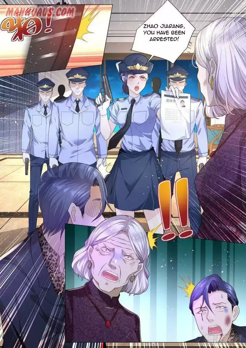 Divine Hero’S Skyfall System Chapter 205