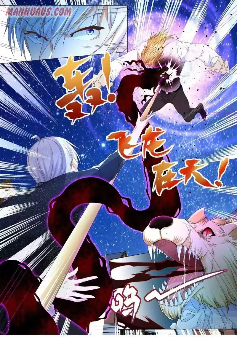 Divine Hero’S Skyfall System Chapter 233